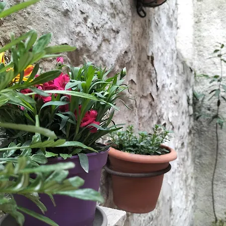Il Cortile Di Zia Апартаменты *